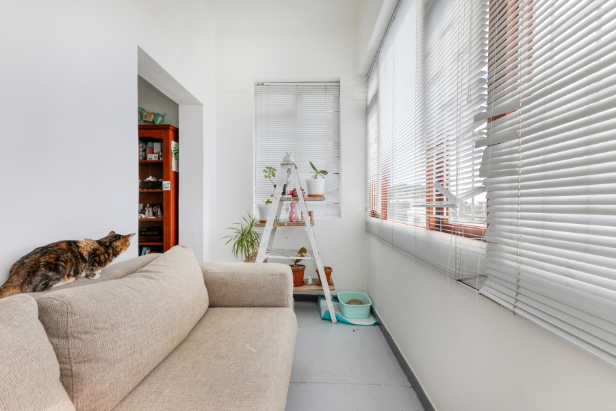 To Let 2 Bedroom Property for Rent in Green Point Western Cape